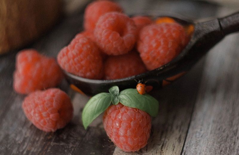 Любопытство фото превью