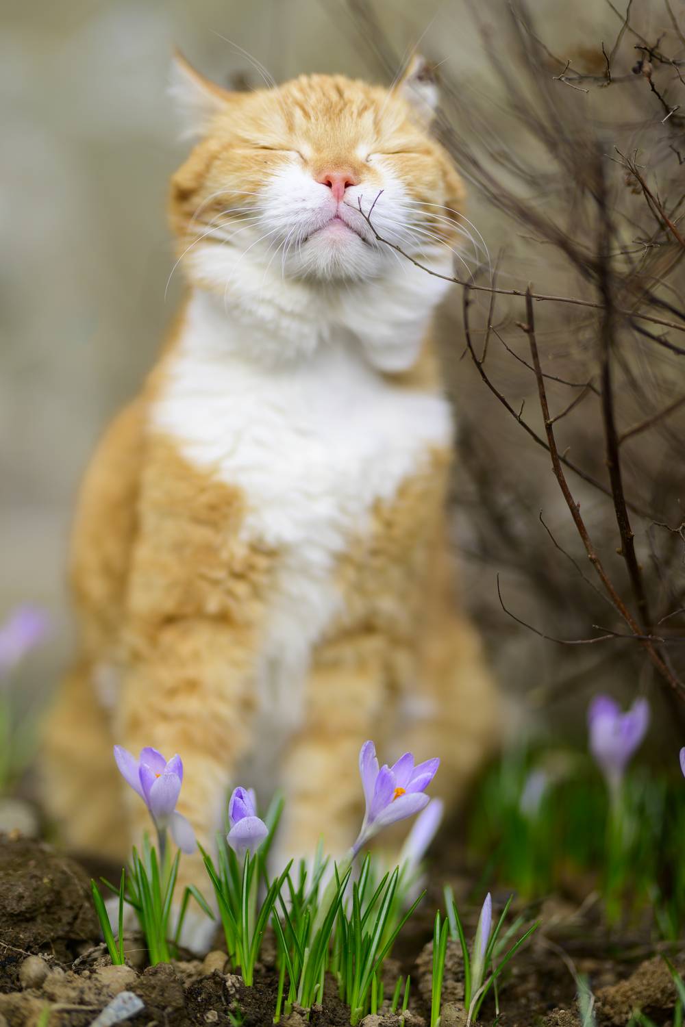 , Пупонин Сергей