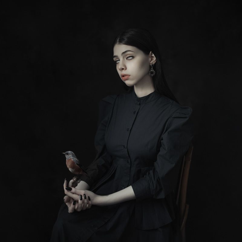 девушка, ведьма, готика, птица Inside фото превью