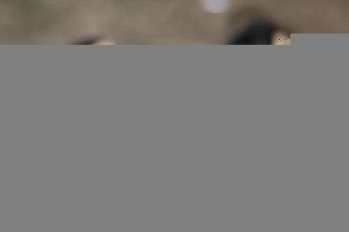 Мультяшный герой