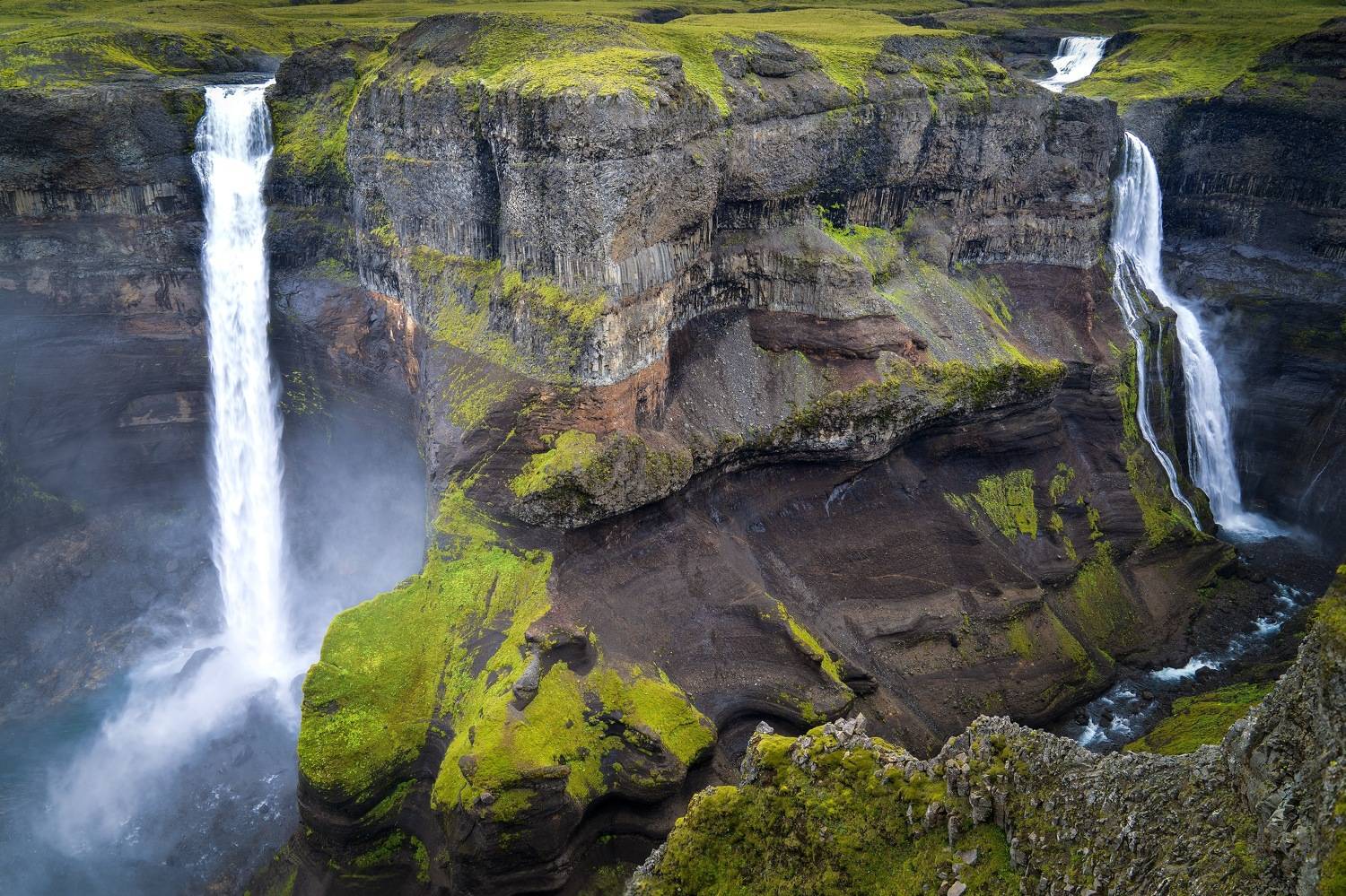 , Шимаковский Юрий