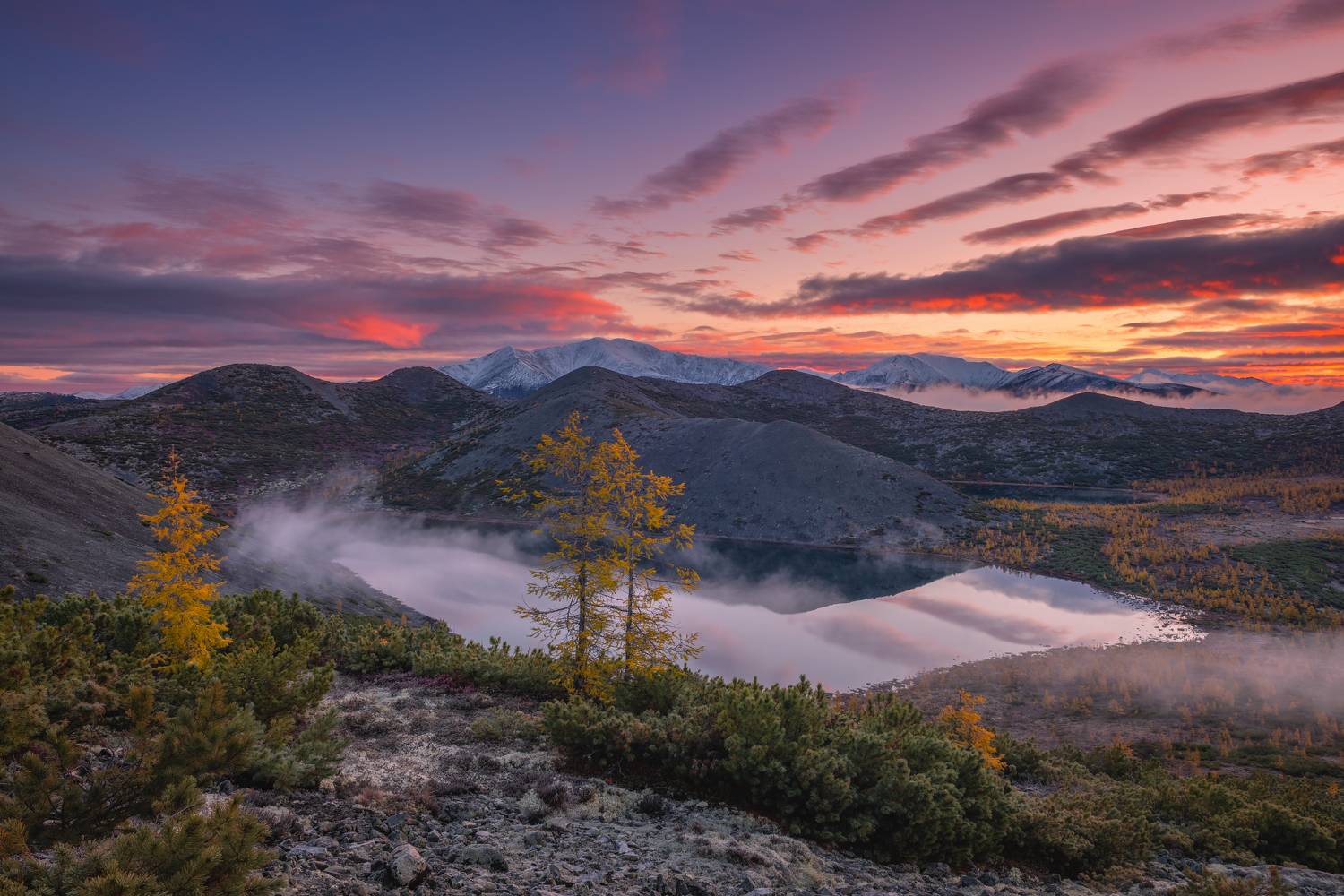 , Максим Евдокимов