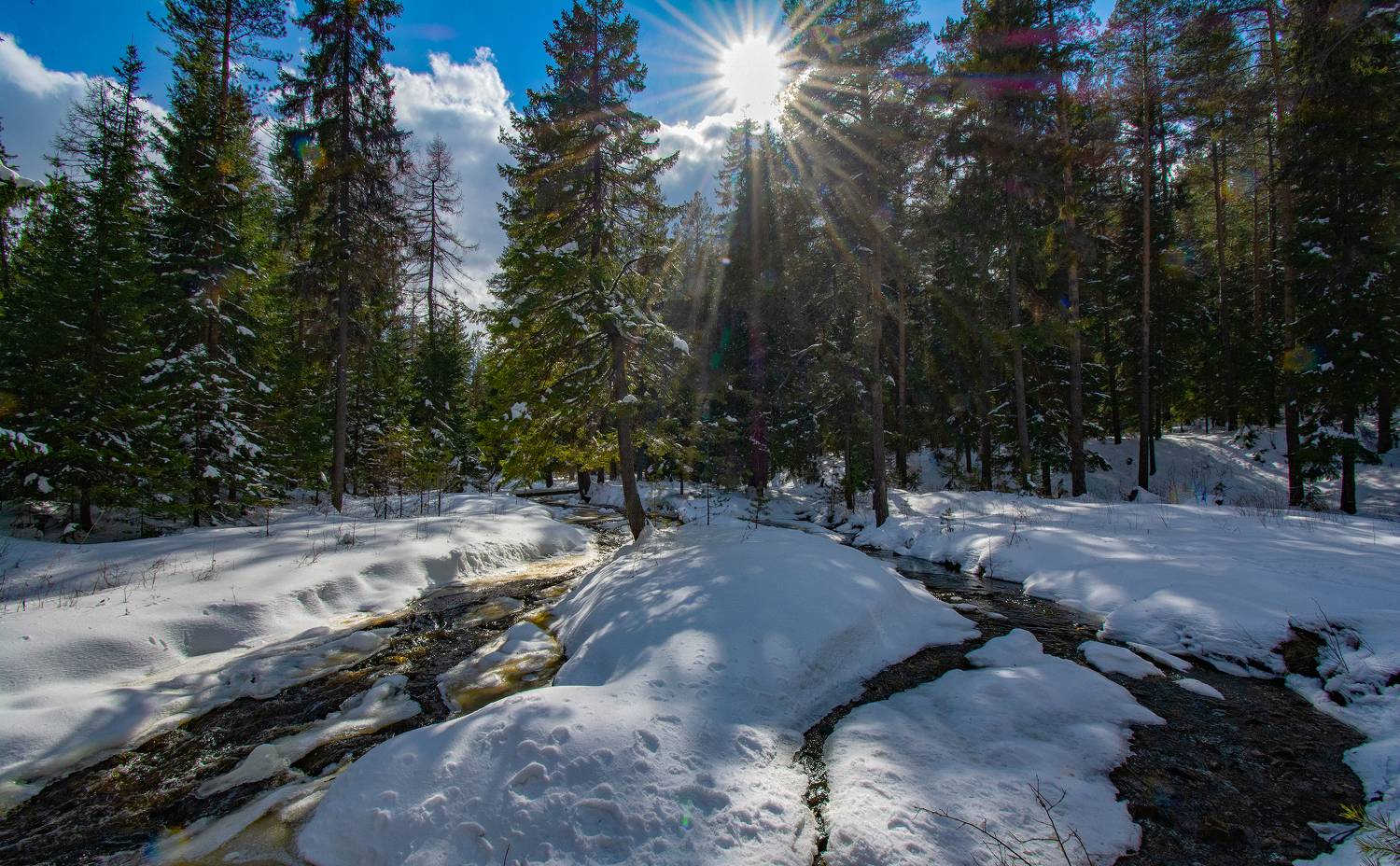 Весенний островок. Автор: Vladim Bormotov , Vladim Bormotov