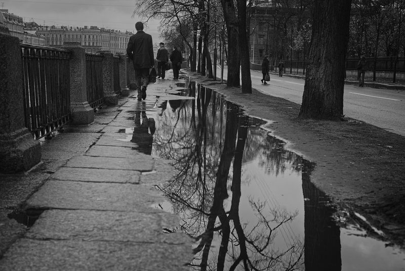 443 фото превью