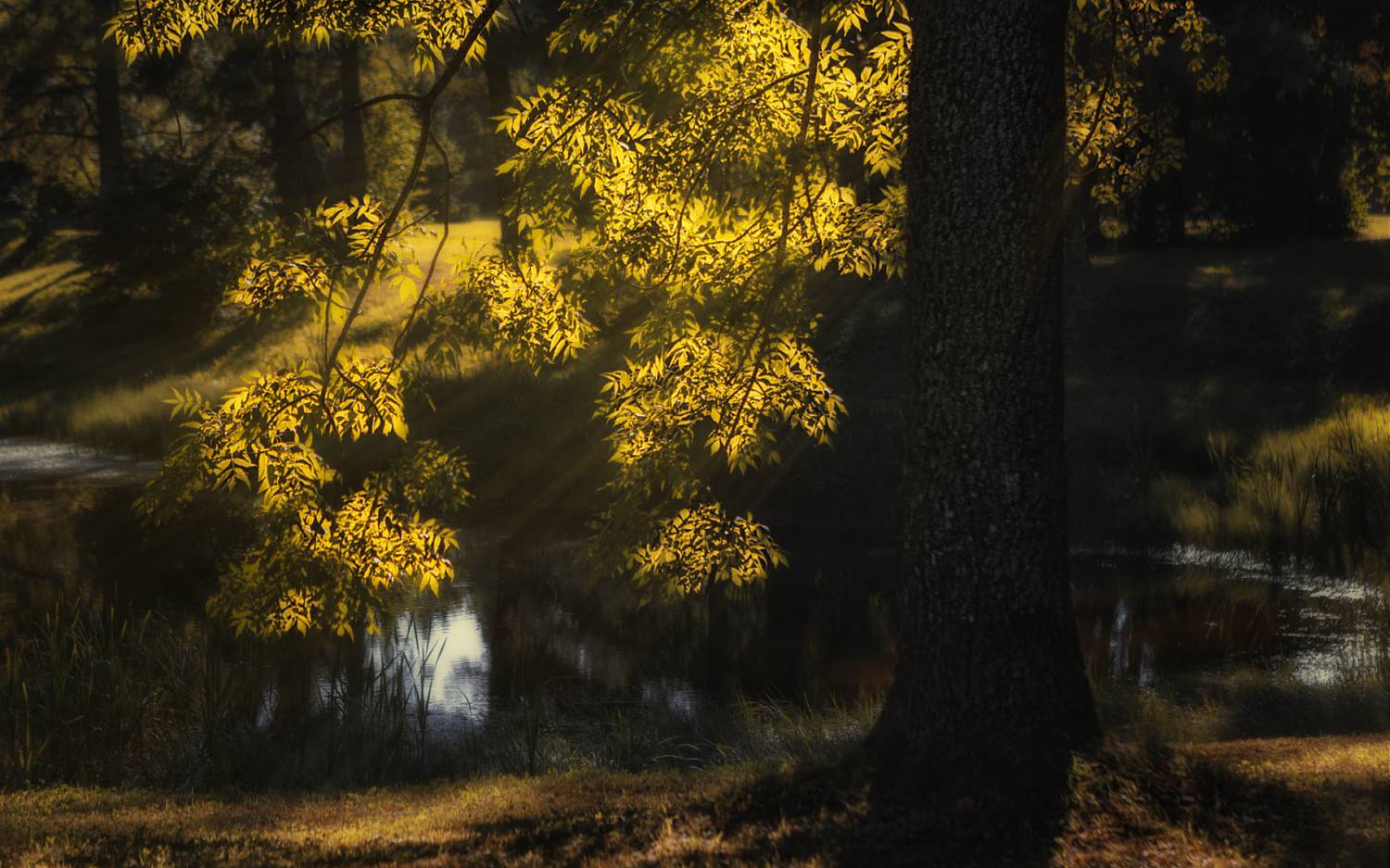 , Олег Дунаев