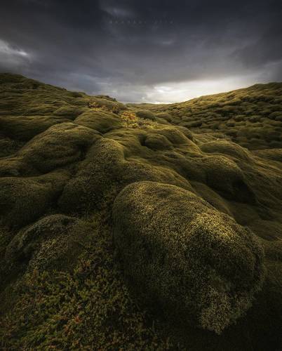 Mossy Lava Field In Iceland