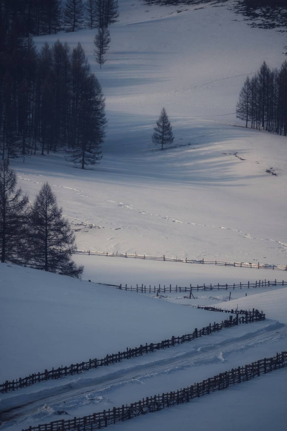 , Tatiana Meshcheryakova