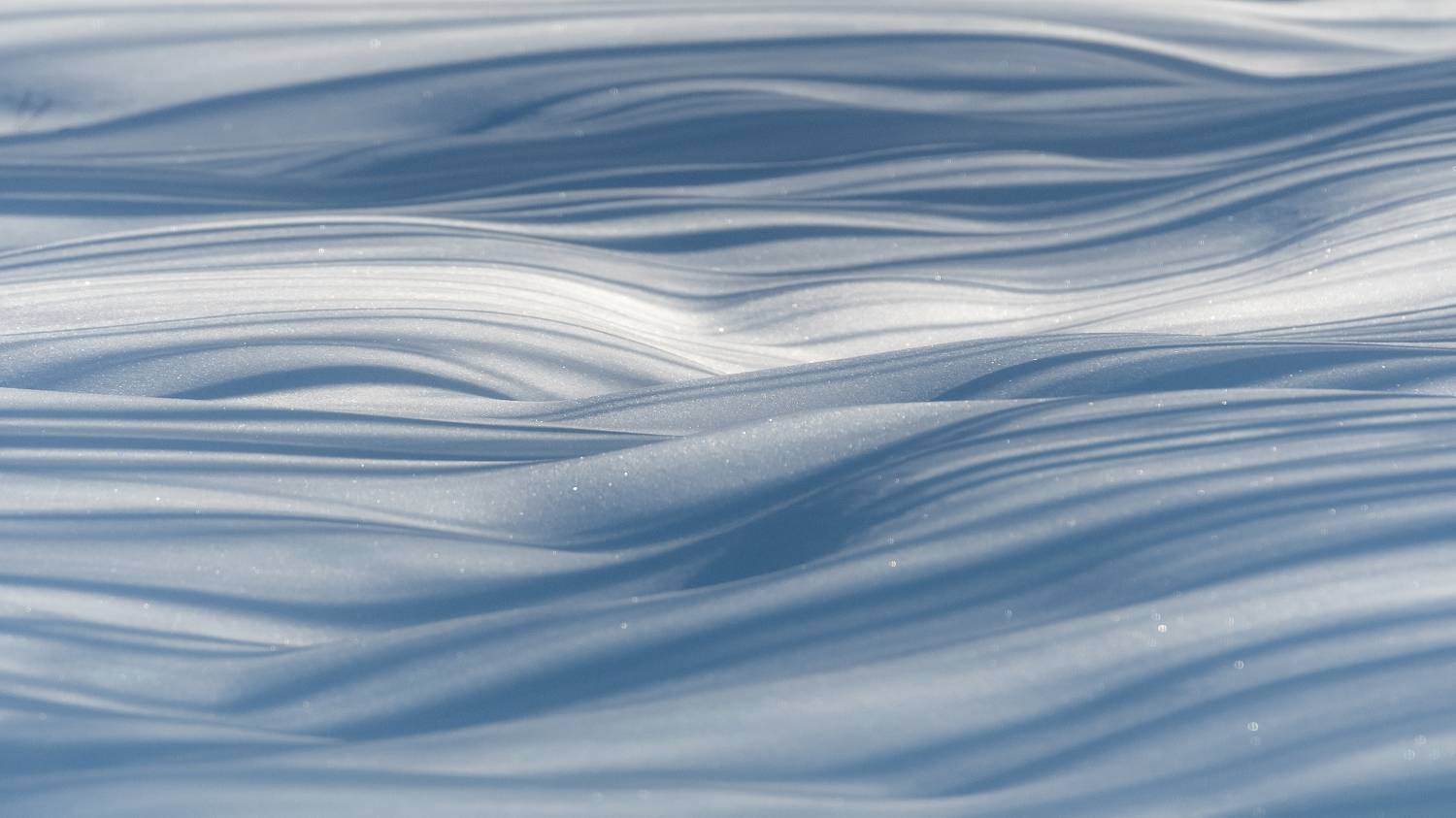 , Tatiana Meshcheryakova