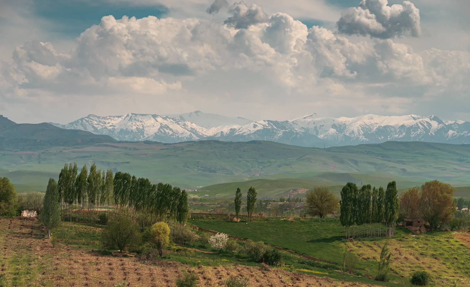 узбекистан, чимган, uzbekistan, chimgan, Исаков Дмитрий