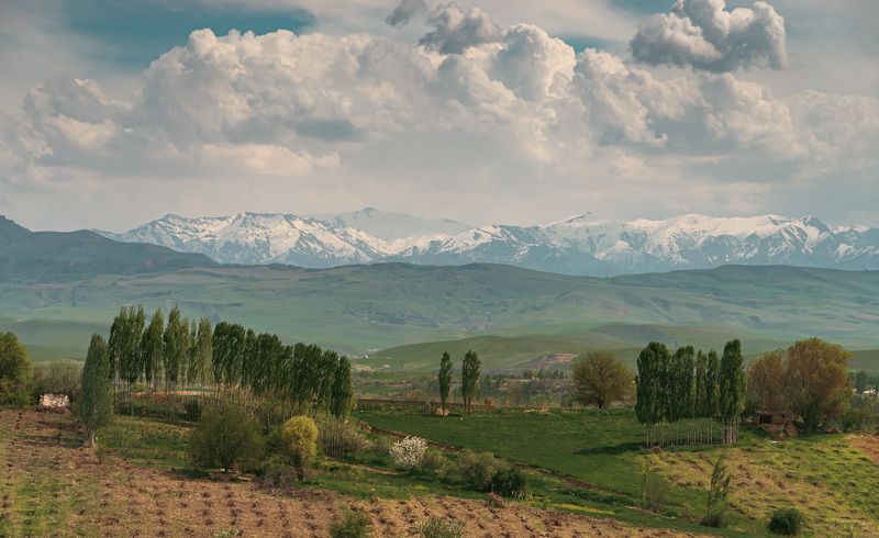 узбекистан, чимган, uzbekistan, chimgan Весенний вайб фото превью