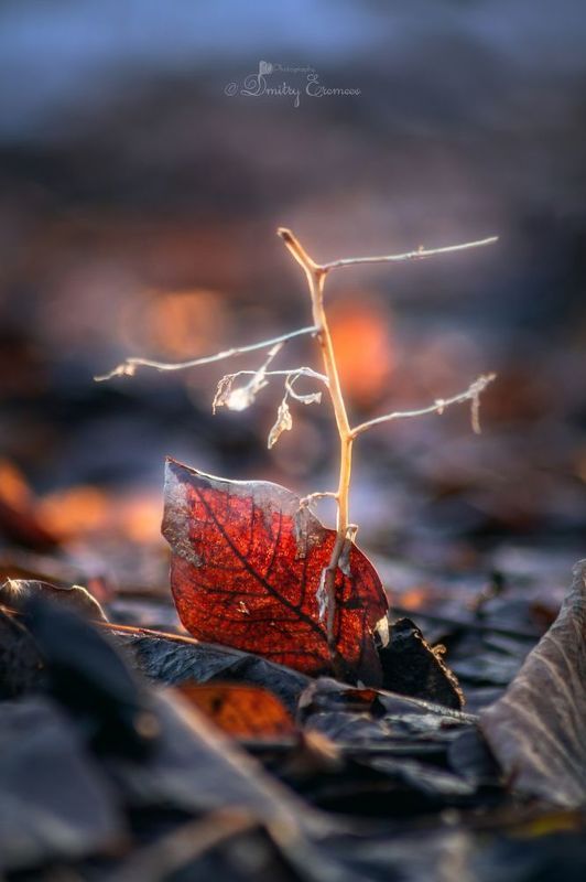 Прошлое... фото превью