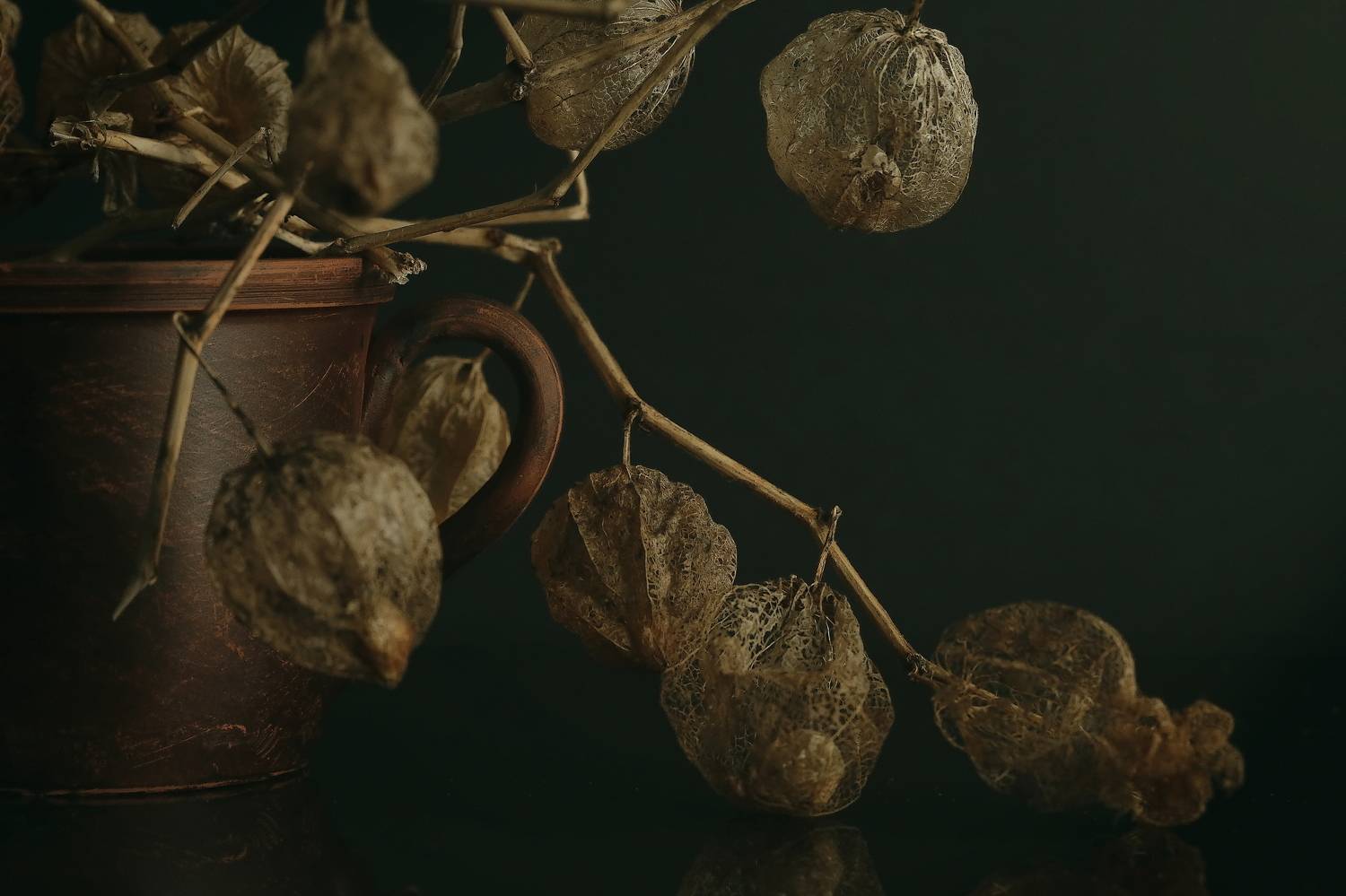 сухоцвет, сухой физалис, глиняная чашка, натюрморт, Стасов Виталий