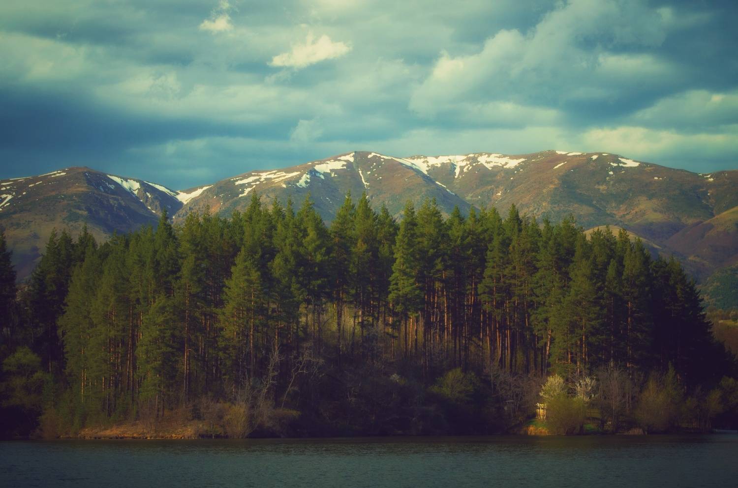 , Николов Андриян