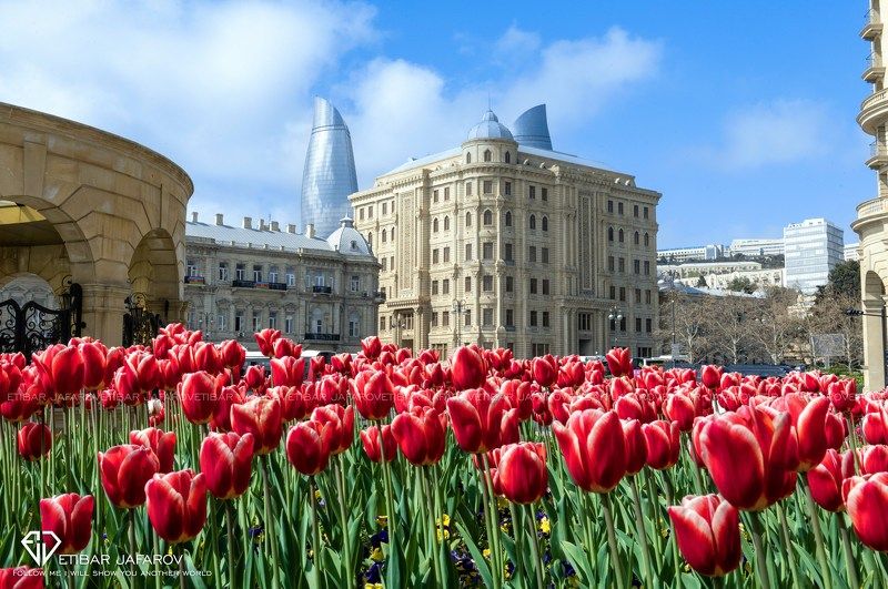 BAKU фото превью