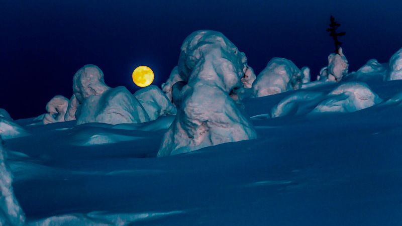 Sleeping Monsters фото превью