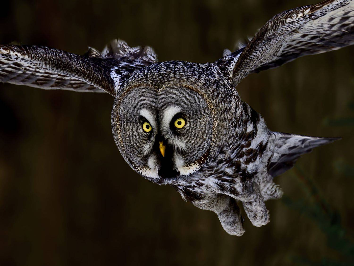 , Пупонин Сергей