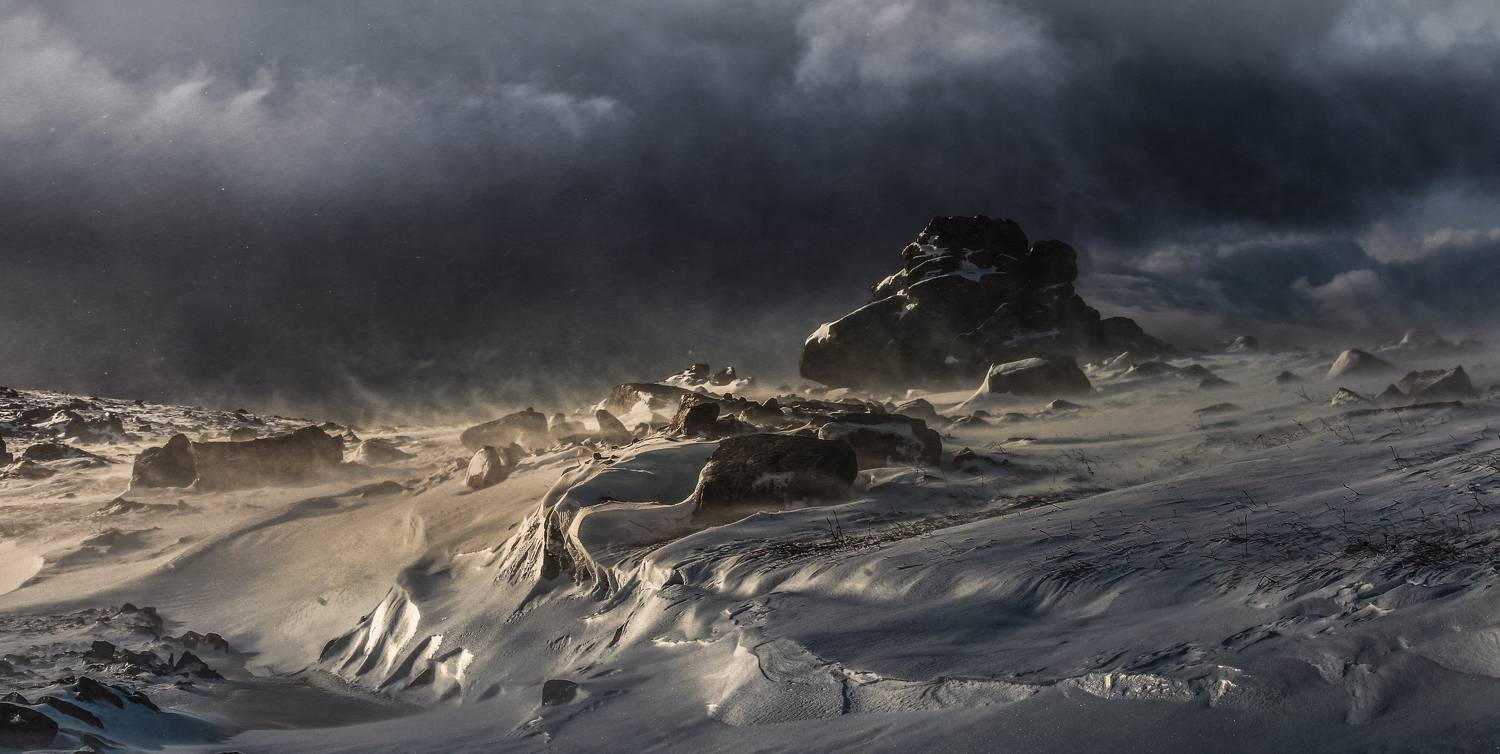 , Татьяна Борисова