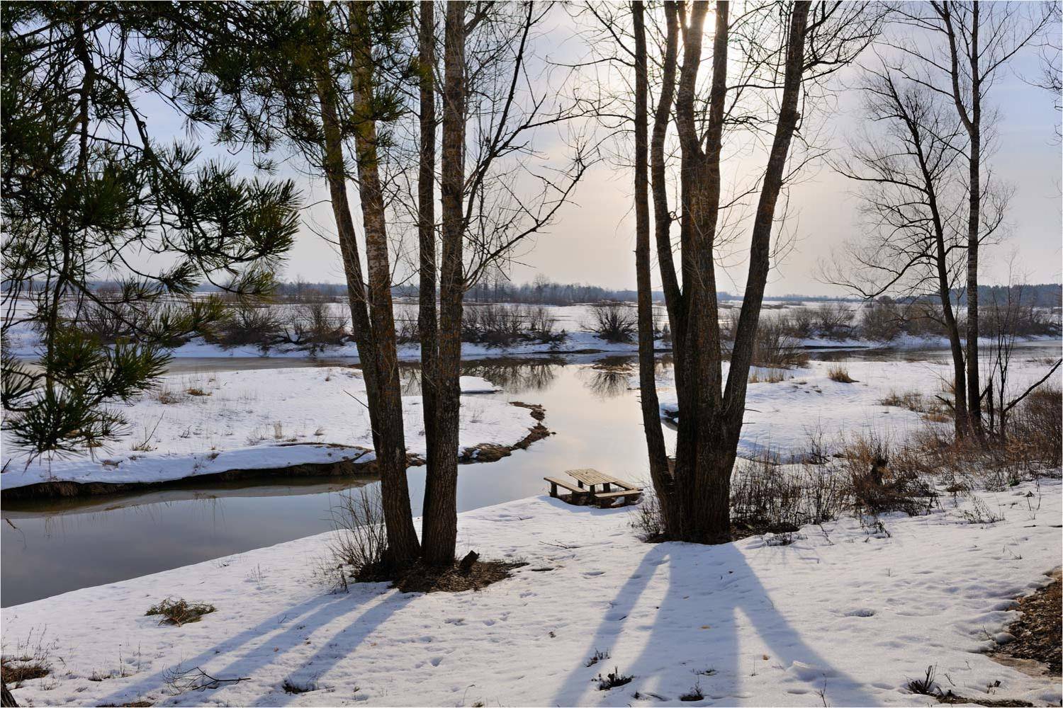 , Анатолий Гулин