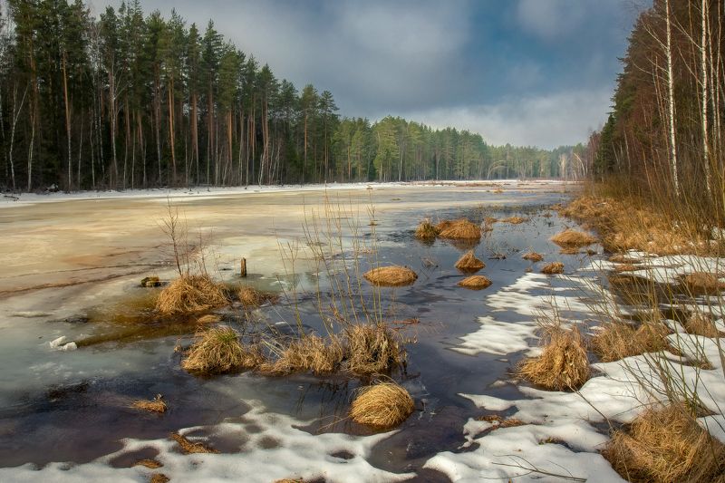 весна суходол утро свет серково Весеннее утро. Суходол. фото превью