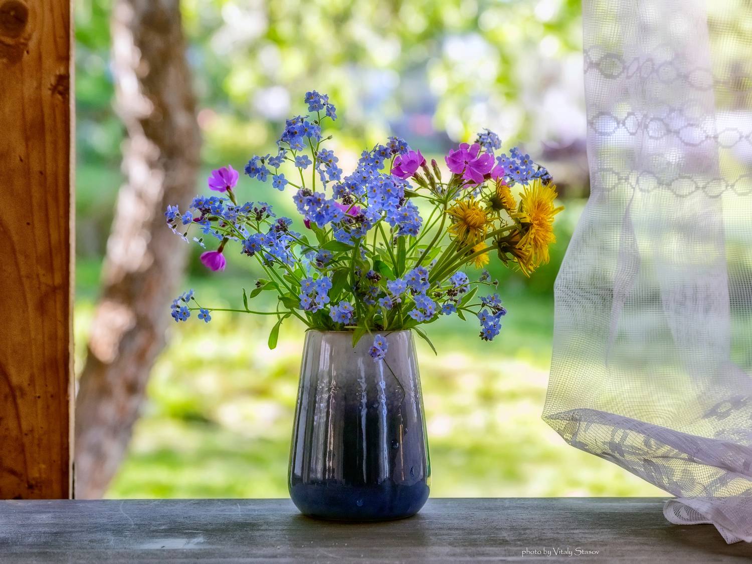 весна, натюрморт, весенние цветы, цветы, ваза, краски весны, окно, одуванчики, незабудки, vitaly stasov, Стасов Виталий