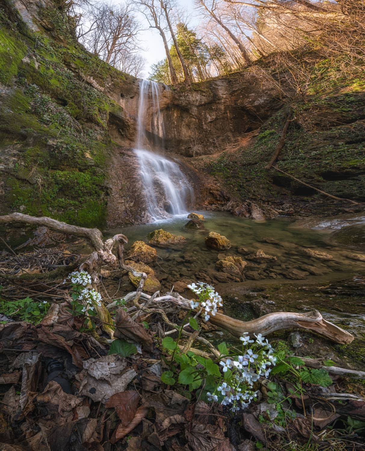 , Мысливцев Николай