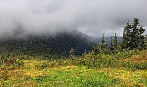 Мустаг в облаках