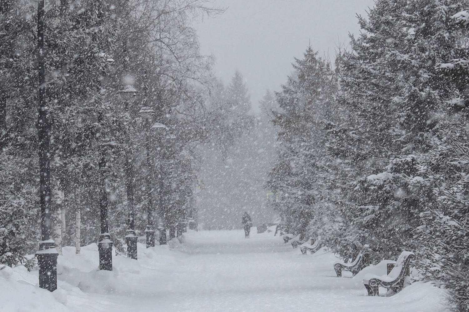 , Константин Буркин