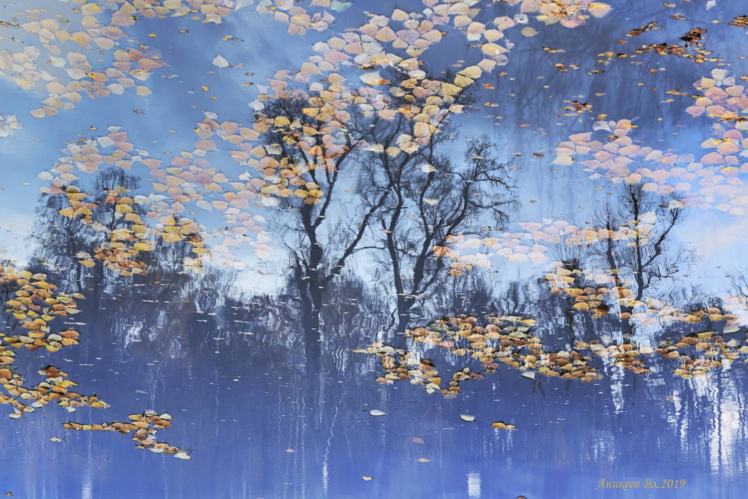 , Аникеев Владимир