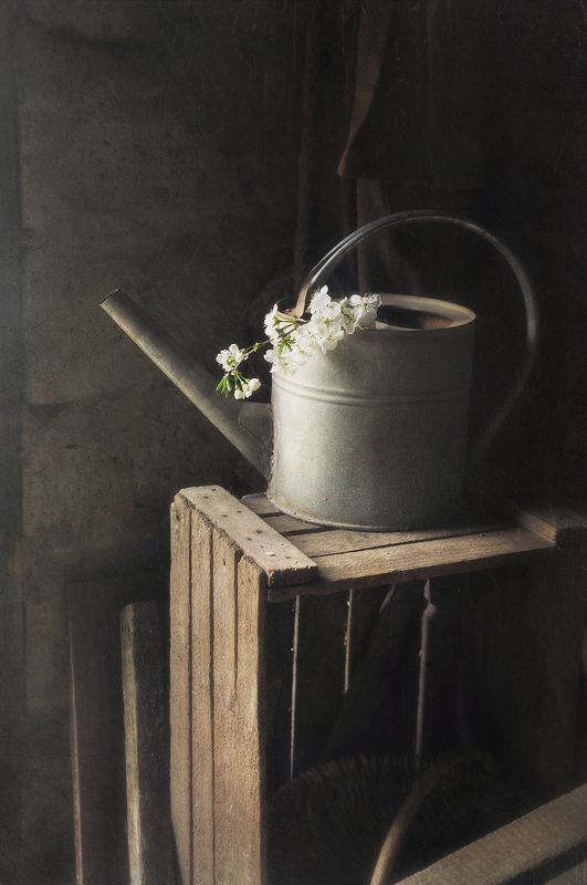 Апрельские мотивы фото превью