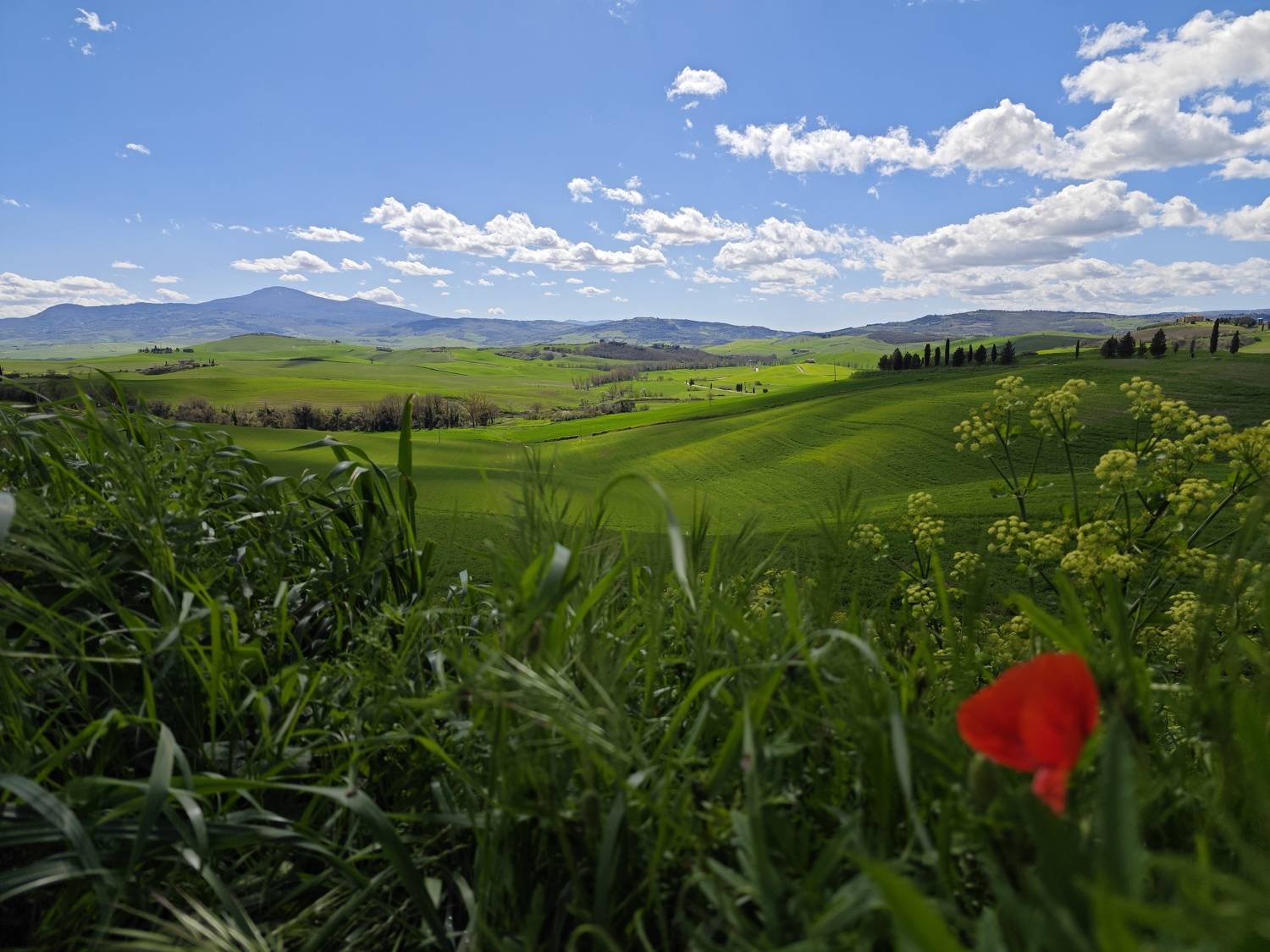 , Ольга Гордиенко