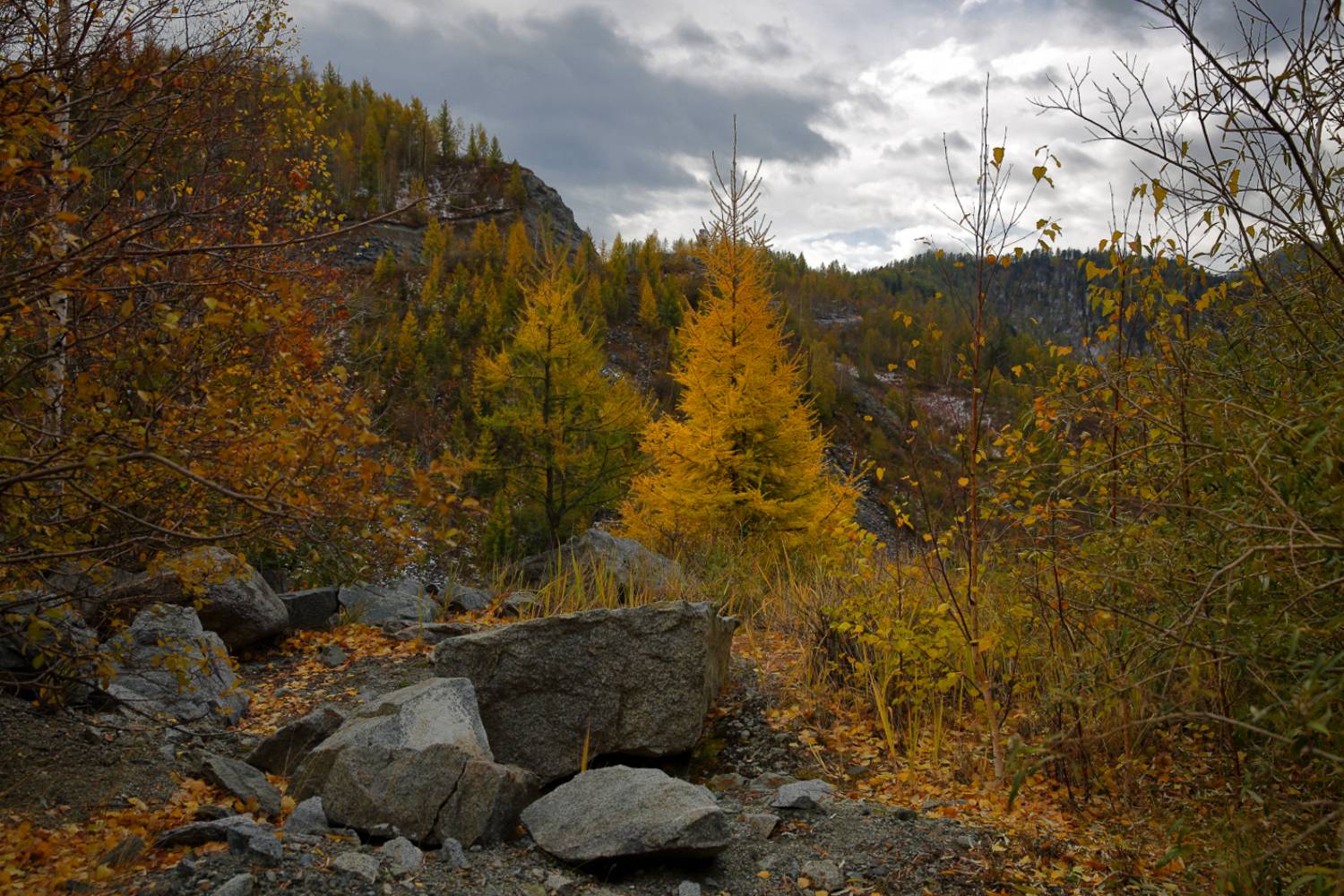 , Евгений Зинов