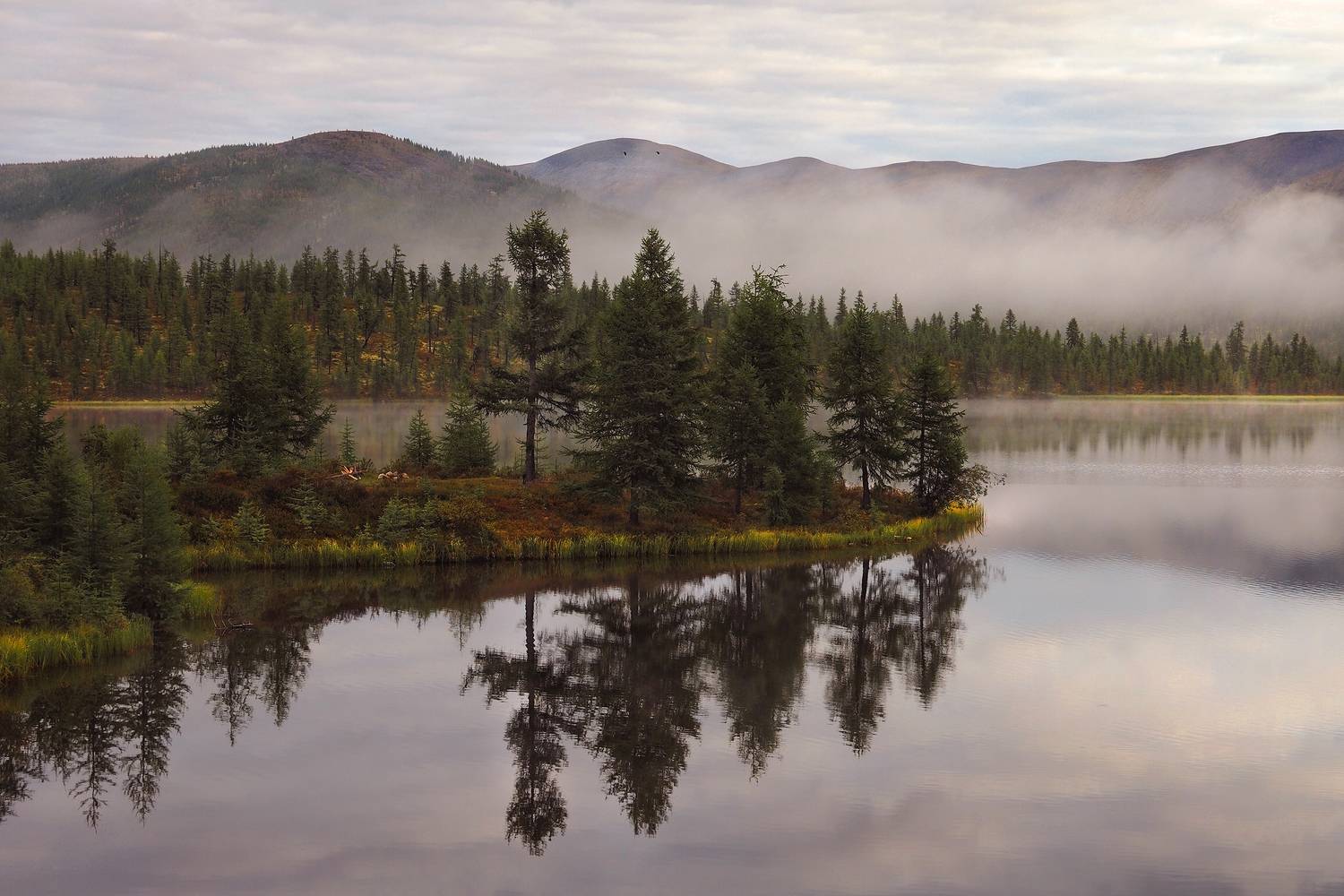 , Александр Попов