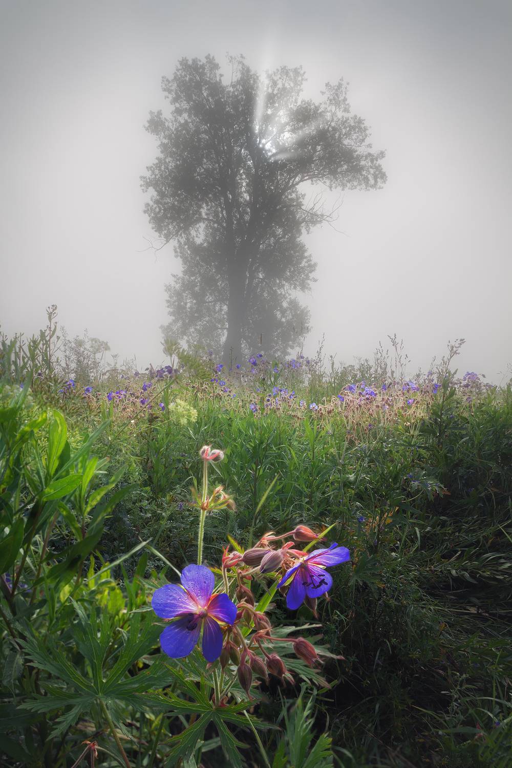 , Смольский Евгений