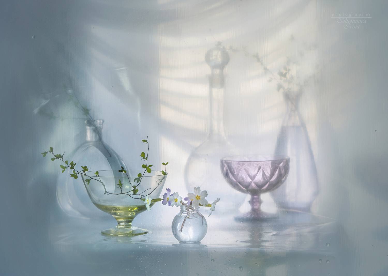 , Ирина Шипунова