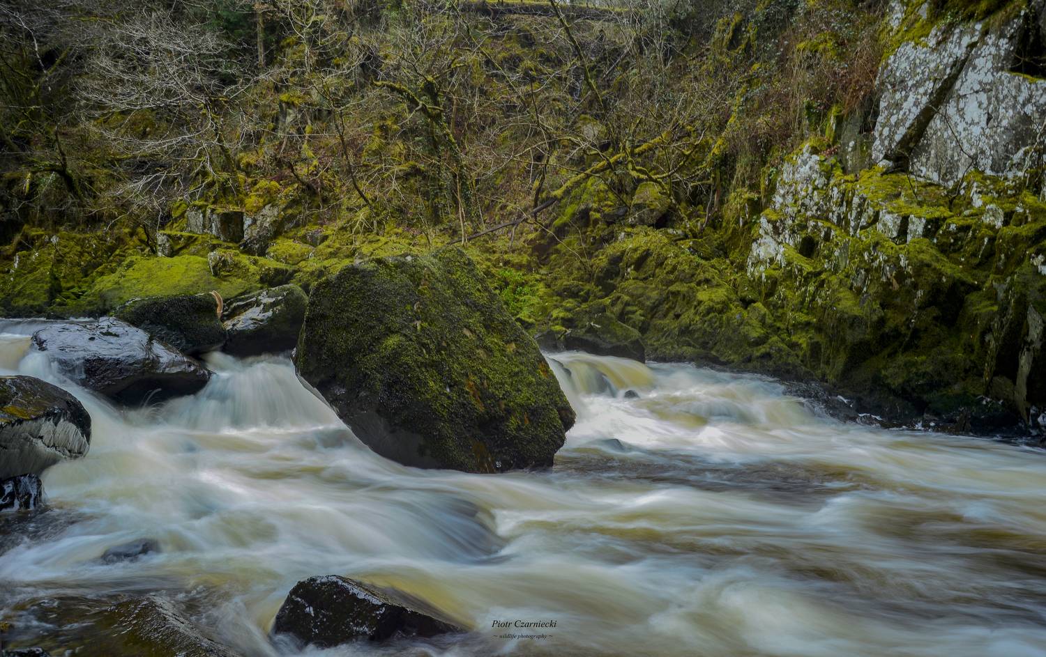 stone, rock, river, water, nature, mountains,, PIOTR CZARNIECKI