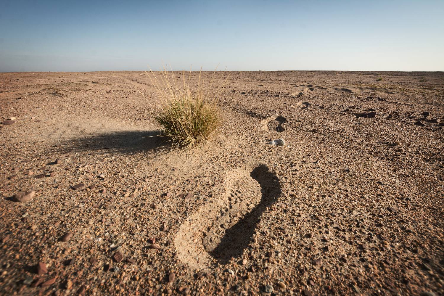 , Ян Сурогин