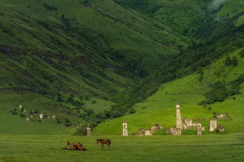 ингушетия, башенные комплексы, лошади Ингушские мотивы (2) фото превью