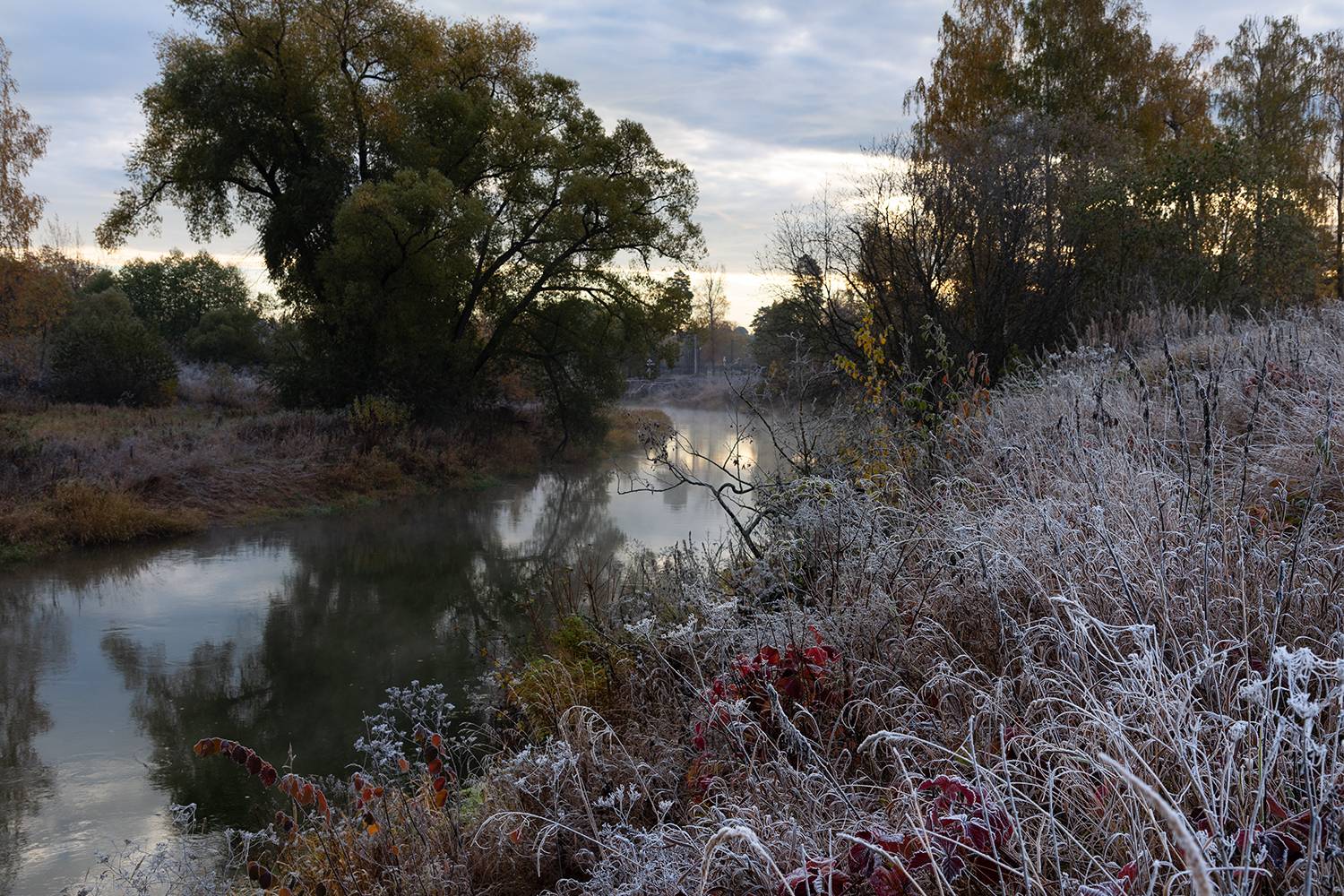 , Дмитрий Асеев