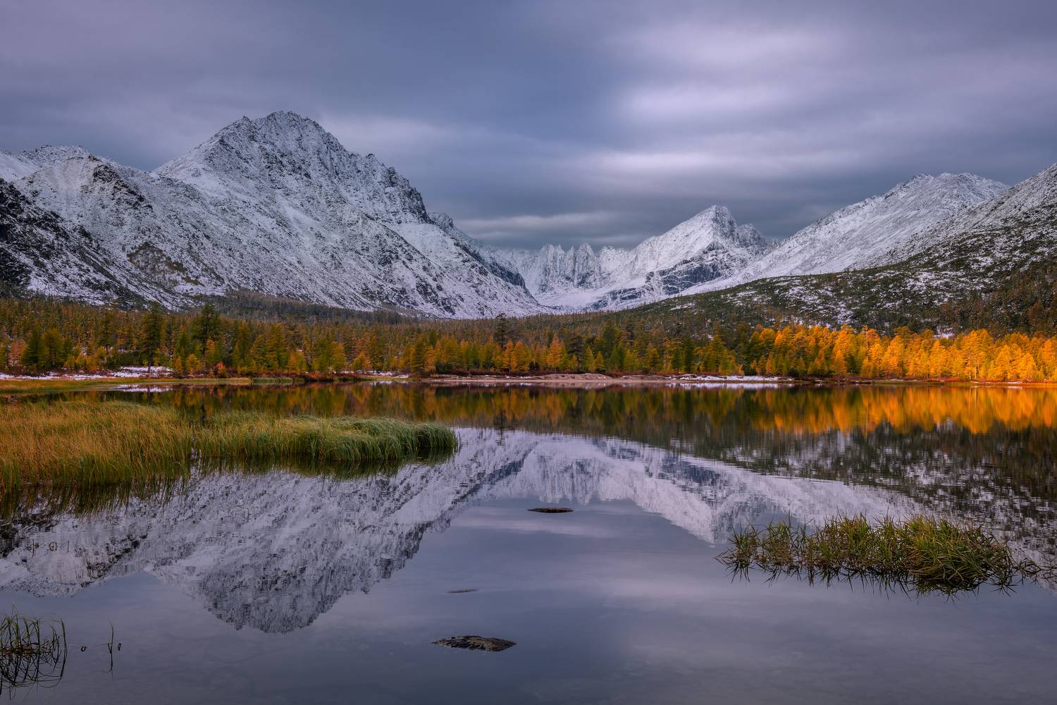 , Максим Евдокимов