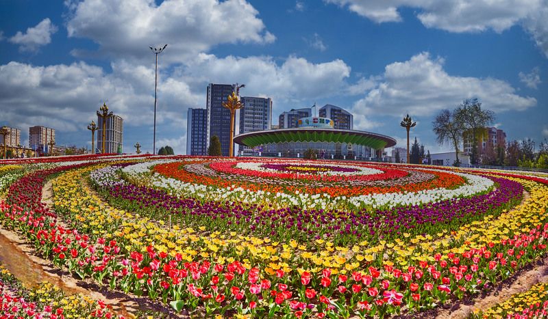 Тюльпановый рай! Душанбе фото превью