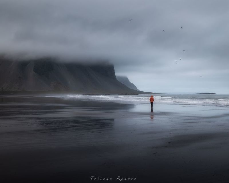 Скалы, океан, птицы...... фото превью