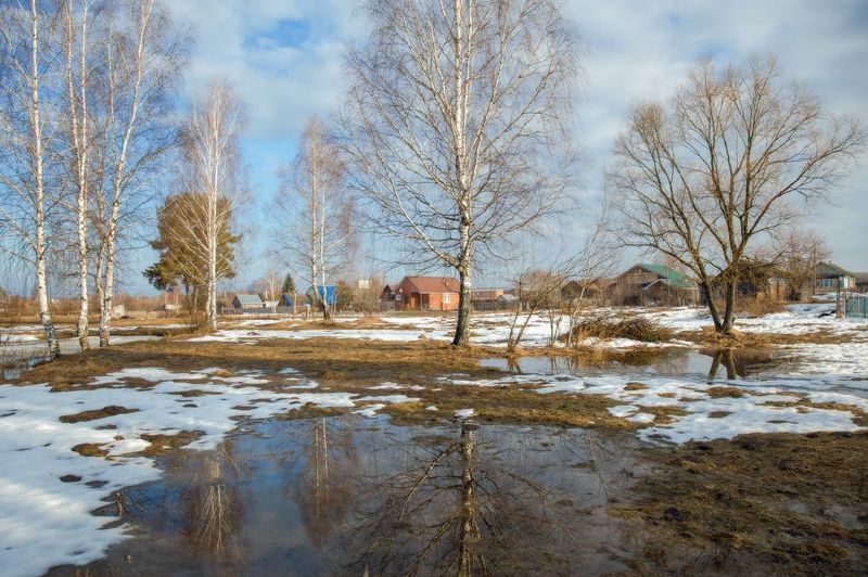 весна серково разлив околица март О прозрачности весенней природы фото превью