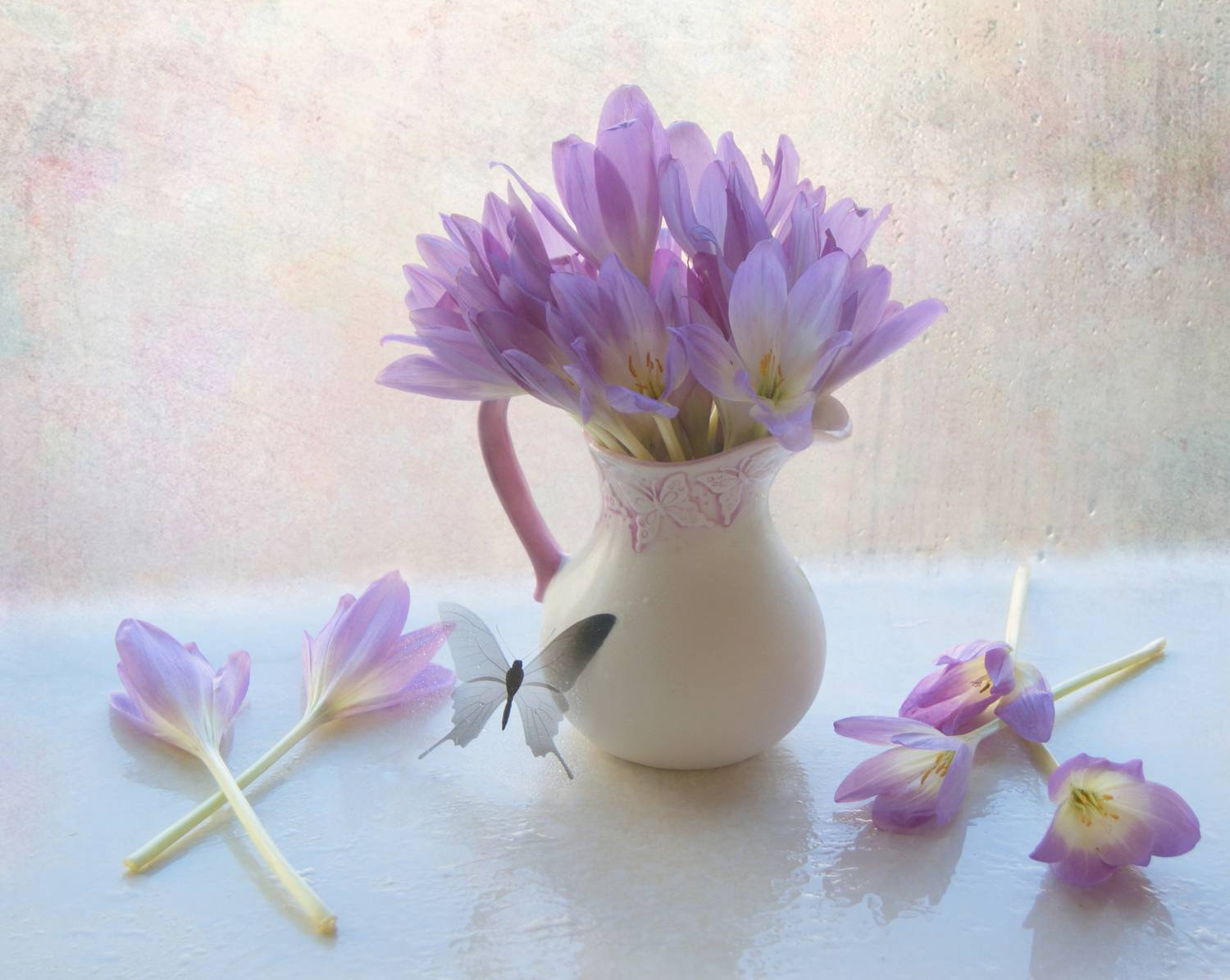 , Хохлова Наталья