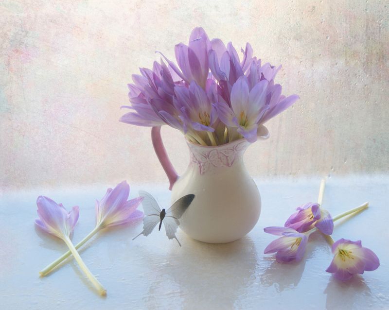 С цветами и бабочкой ) фото превью