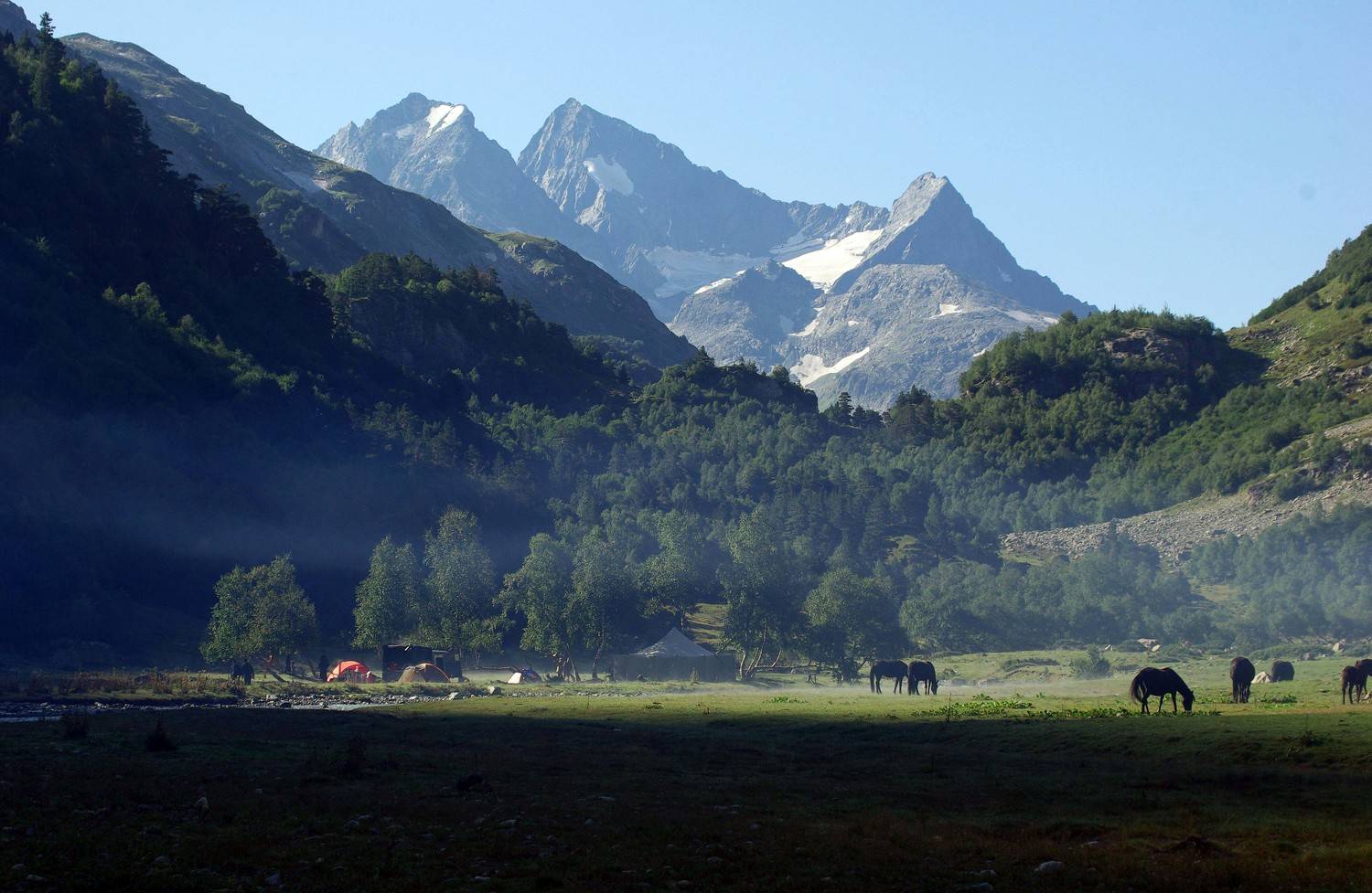 маруха, Андрей Любимов