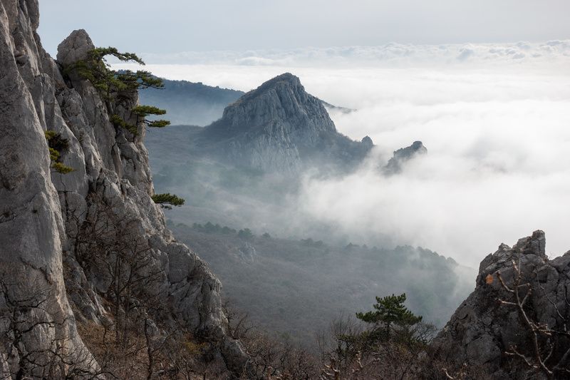 Весеннее настроение. фото превью