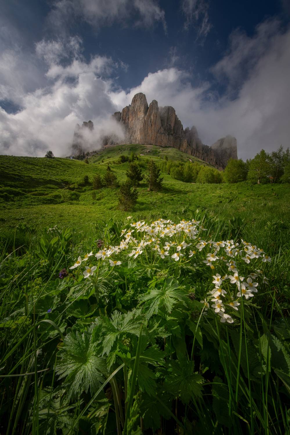 , Елена Ермолина