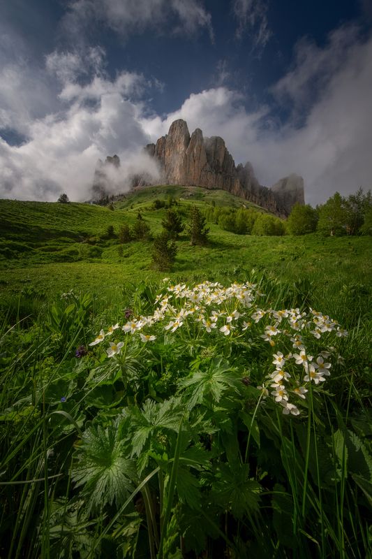 Солнечный день. фото превью
