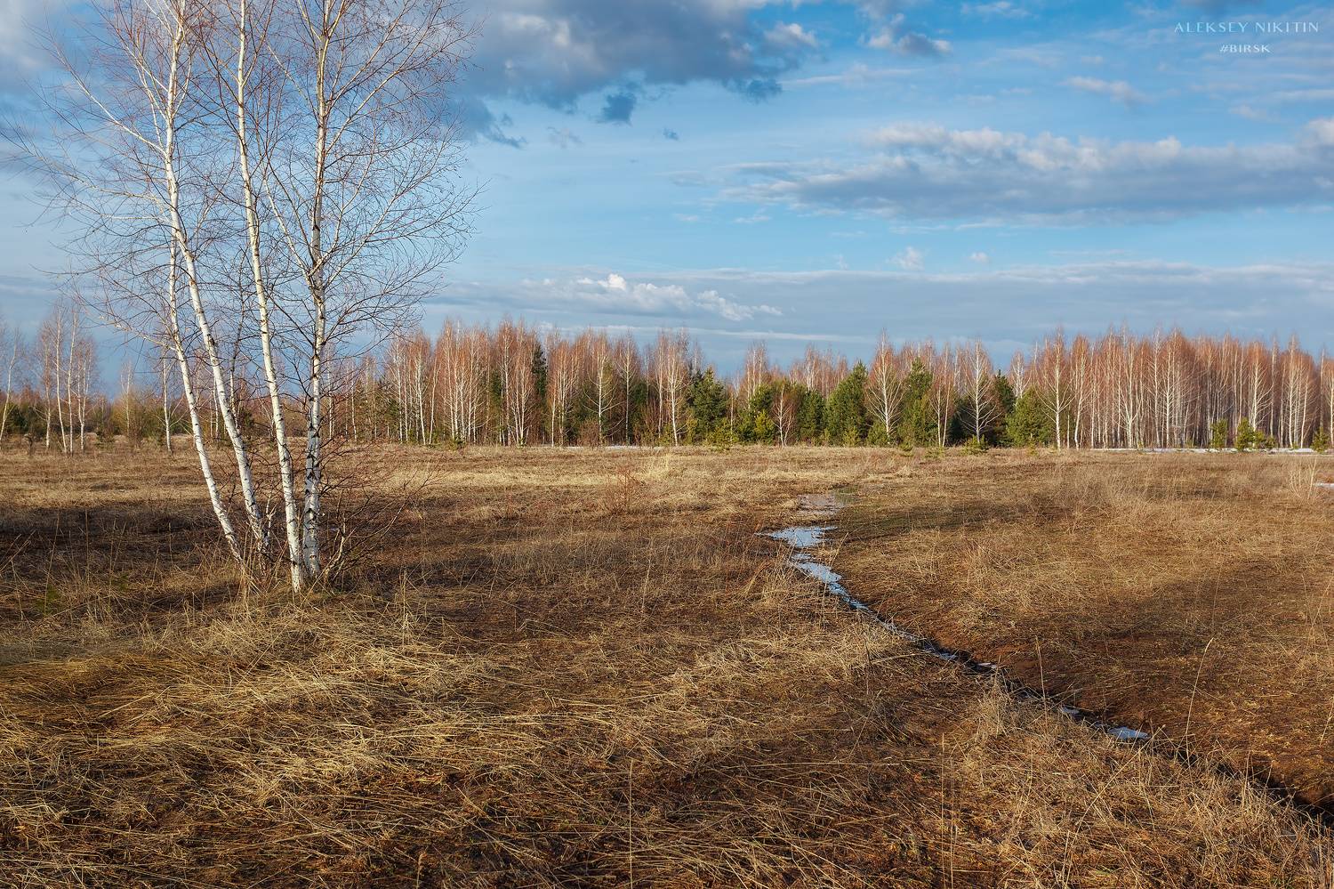 , Алексей Никитин