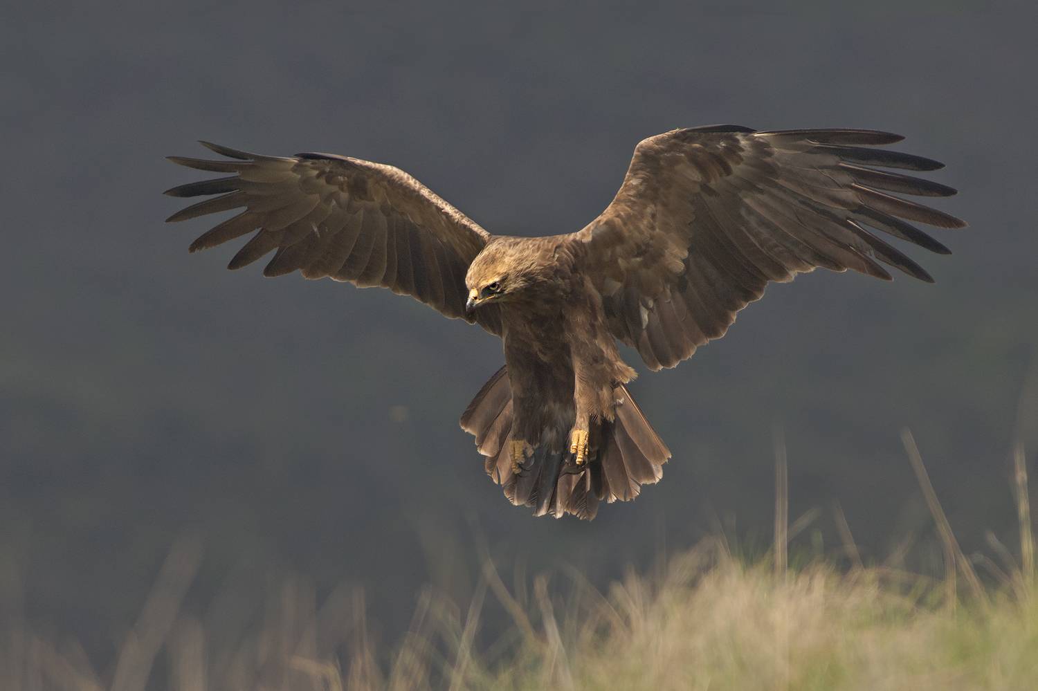, Евгени Стефанов